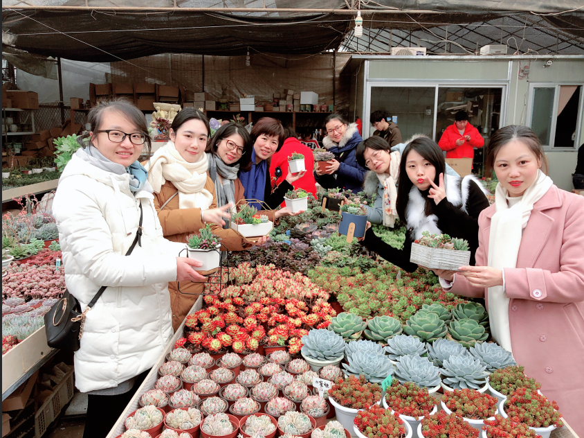 1552354932896193.png 2.png