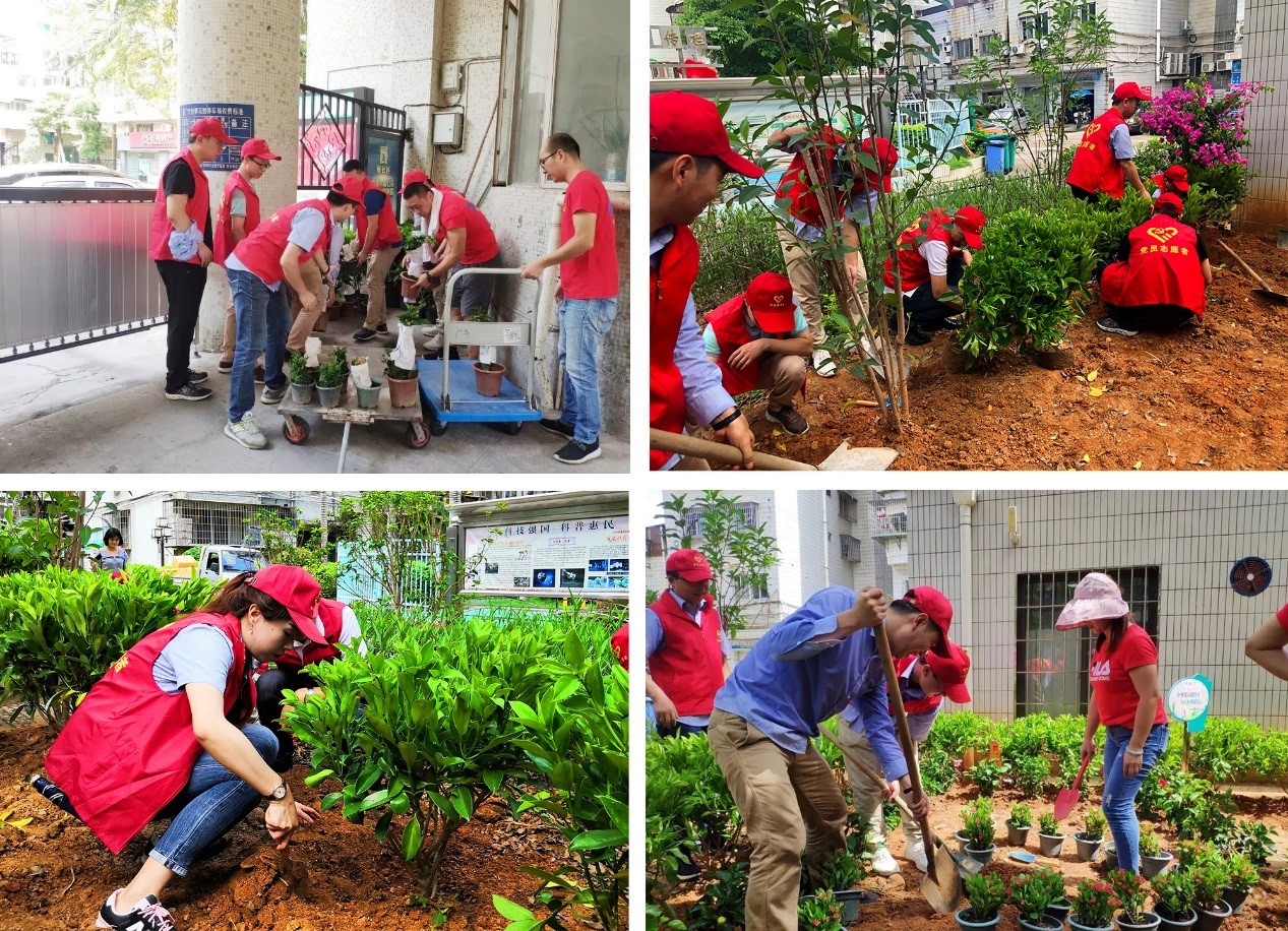 1562902446875551.jpg 3.jpg