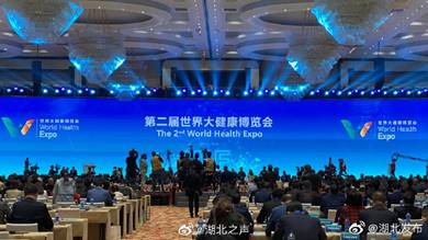 1605521050631176.jpg 展览会