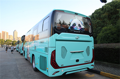 1721694441887971.jpg 5.jpg