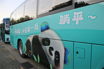 1721694452883774.jpg 6.jpg