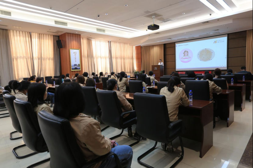 1678264542177119.png 1678264542177119.png