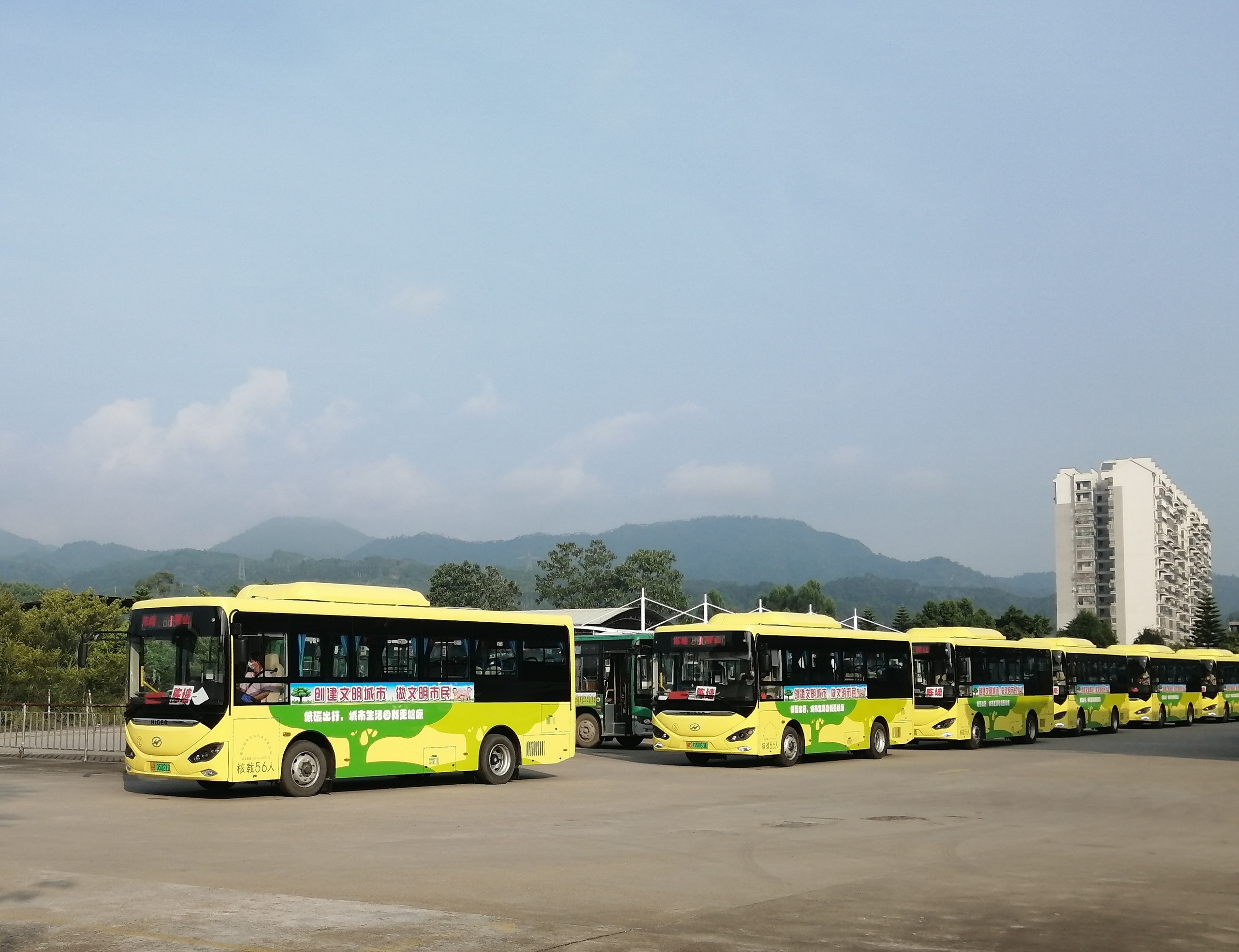 1599051057809043.jpg IMG_20200828_085341.jpg