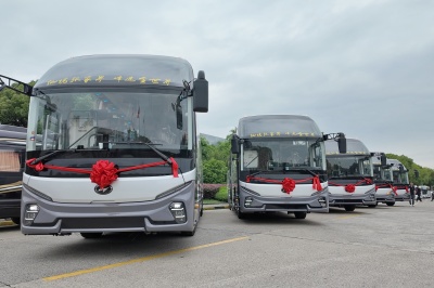 1736147874466480.jpg 1.jpg