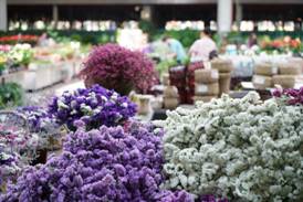 1592786186168769.jpg 微信图片_20200615165322