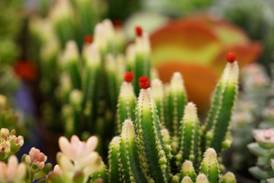 1592786230739414.jpg 微信图片_20200615165402