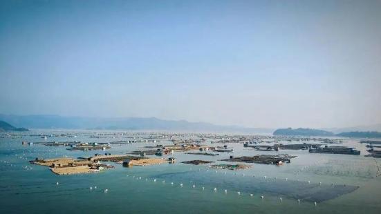 1630300735968979.jpg 1630300735968979.jpg