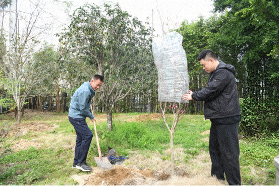 1743059108245496.png 图片1.png