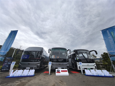 1730092611374726.jpg 微信图片_20241025093058.jpg