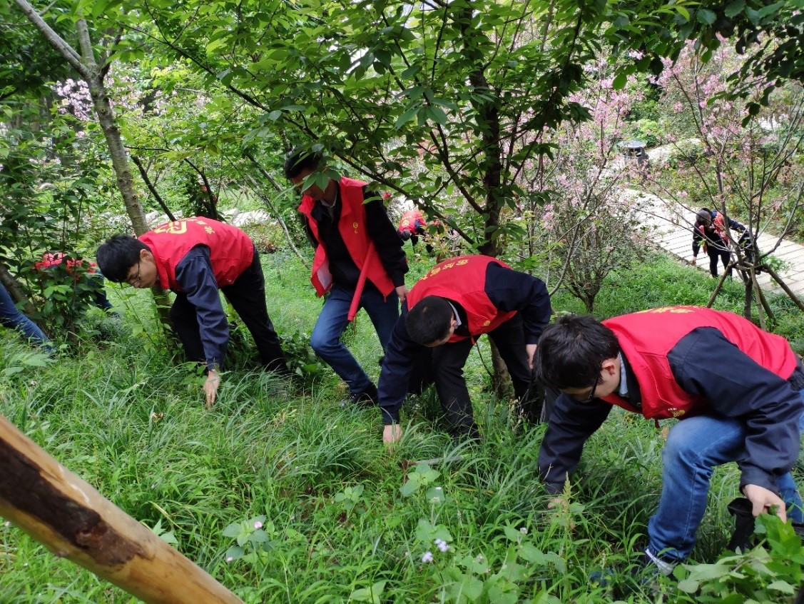 1559631490696630.jpg 3.jpg