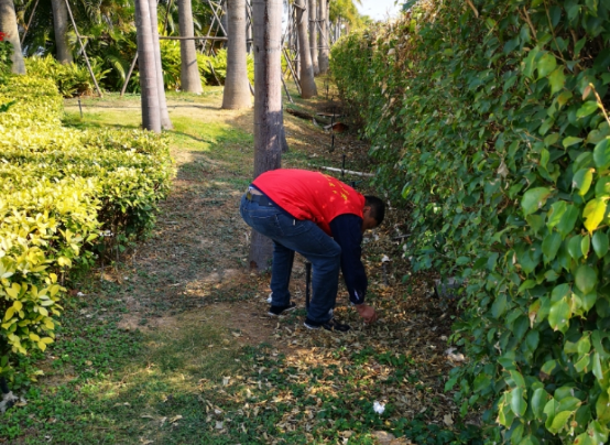 1736907282570670.png wps4.png