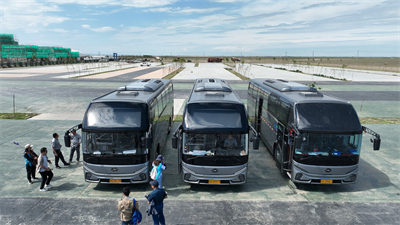 1724742813349238.jpg 2.jpg