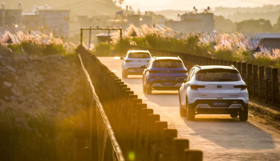 1543911304593418.jpg 2.jpg