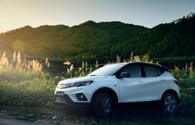 1543911353553836.jpg 5.jpg