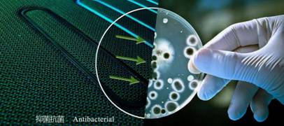 1581577200655182.jpg IMG_262