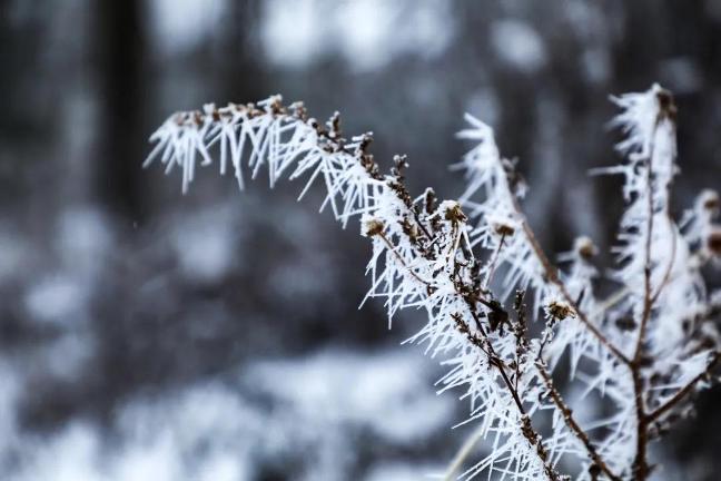 1607415646852245.jpg 微信图片_20201208161454.jpg