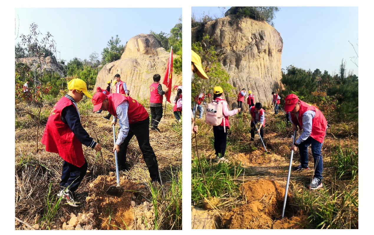 1616575248173592.jpg 1616575248173592.jpg