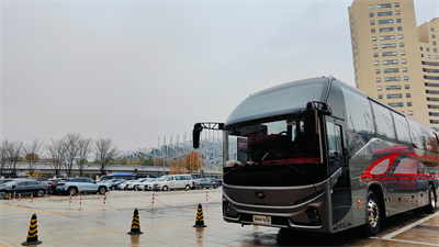 1731564239212459.jpg 3.jpg