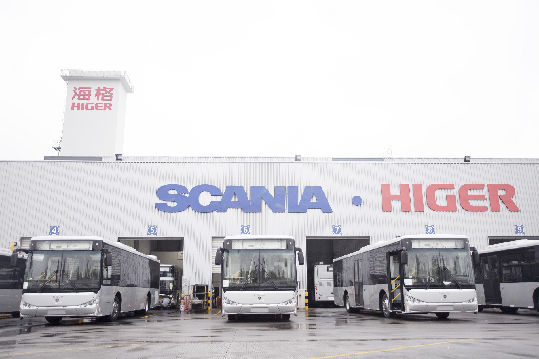 1566355650942333.jpg IMG_9952.jpg