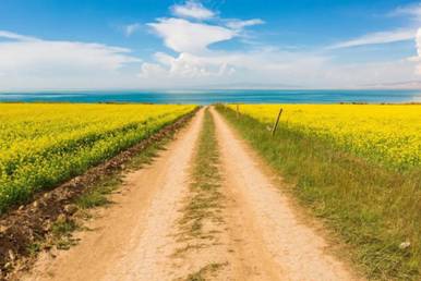 1596875862775294.jpg 微信图片_20200729112834