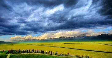 1596875872931492.jpg 微信图片_20200729112847