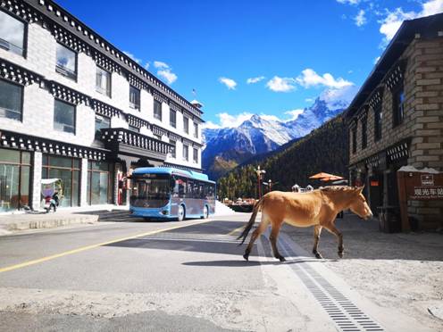 1605255365117718.jpg 微信图片_20201103113525