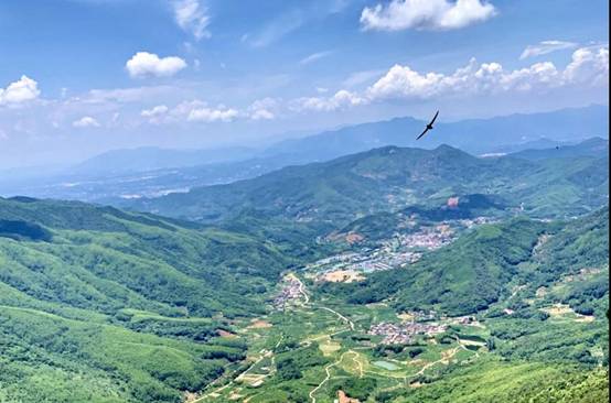 1607045629979805.jpg 微信图片_20201203160812