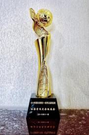 1550305695780321.jpg 优秀公益项目奖