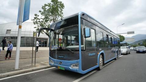 1603095425431704.jpg P1047972