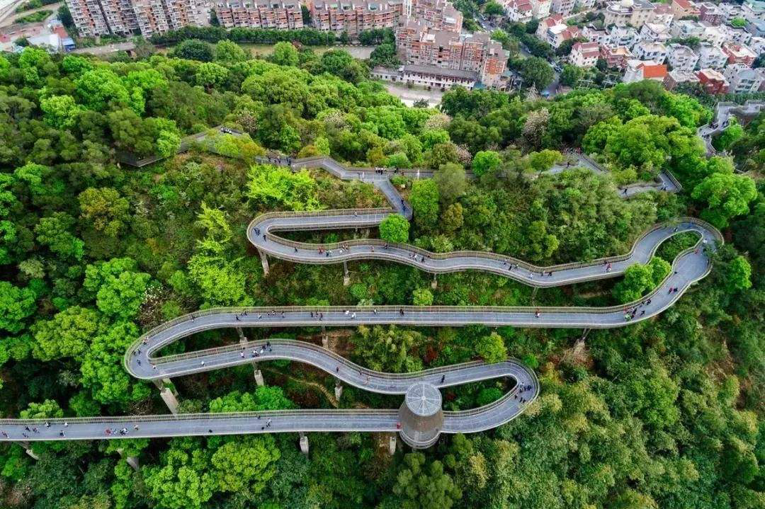 1572407788535647.png 图片1.png