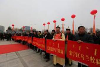 1516679449972661.jpg TYS_8856