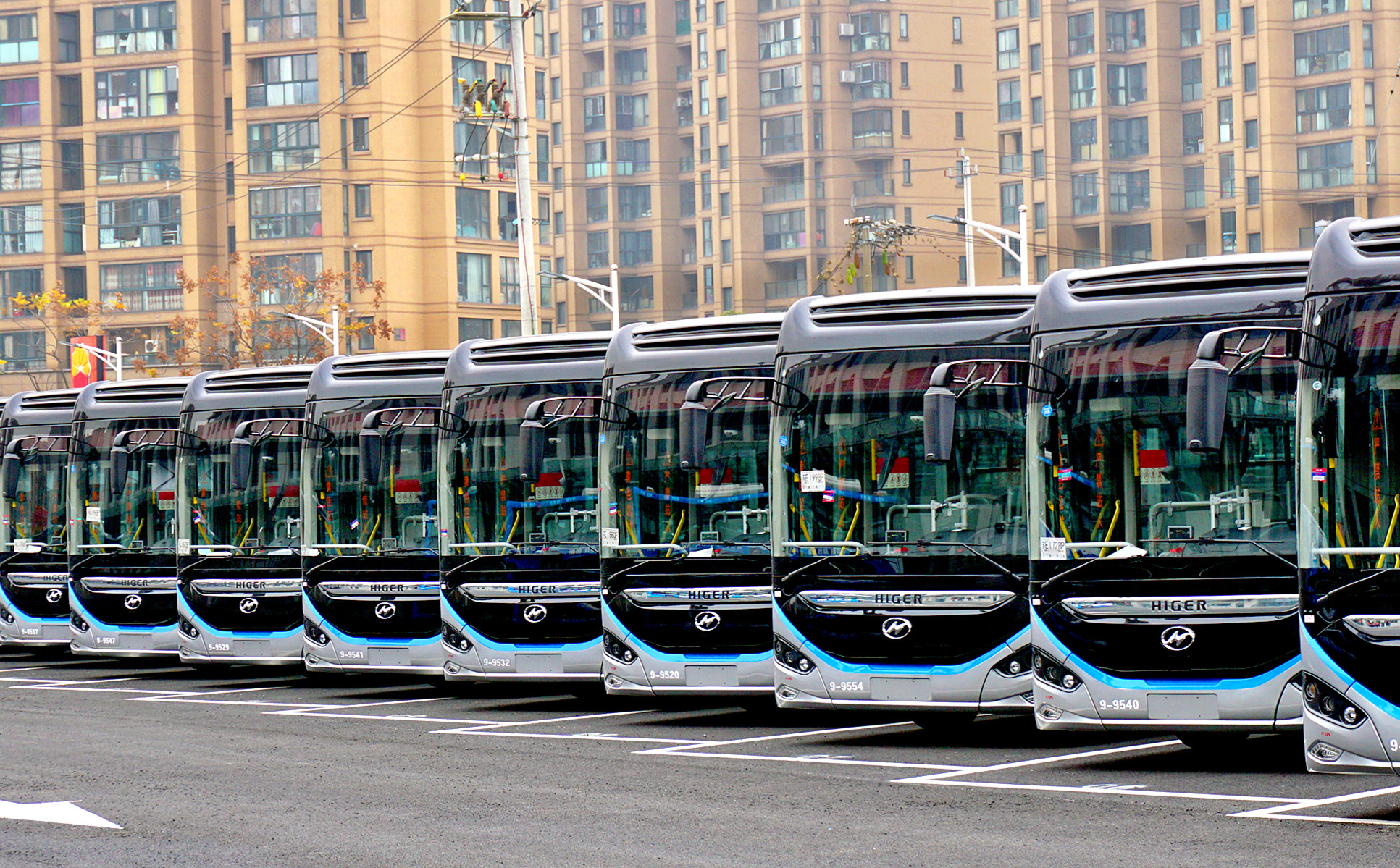 1586064036134376.jpg 余杭蔚蓝_副本.jpg