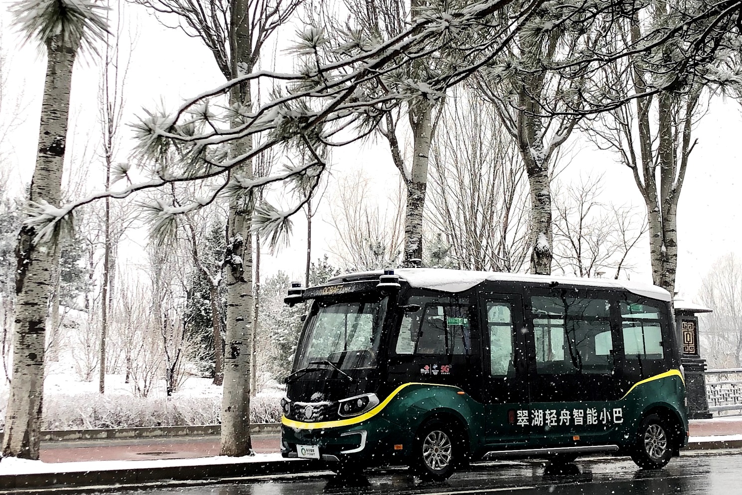 1649230257600625.jpg 1649230257600625.jpg