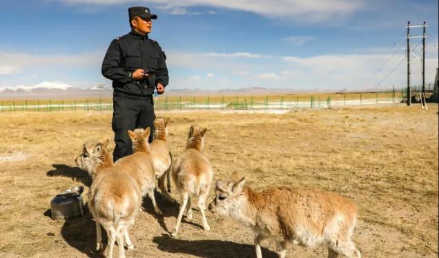 1611910533165494.jpg 微信图片_20210129163949.jpg