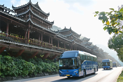 1731026689478826.jpg 1.jpg