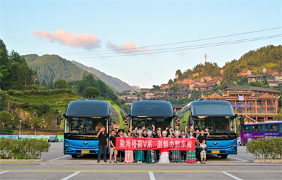 1731026817156037.jpg 10.jpg