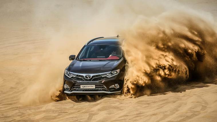 1529916969213444.jpg 说明: KIWI_0045