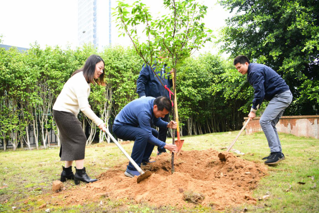 1617611188934810.png 1617611188934810.png