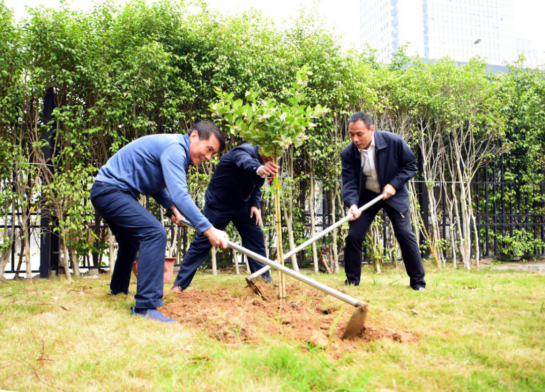 1617611098655935.png 1617611098655935.png