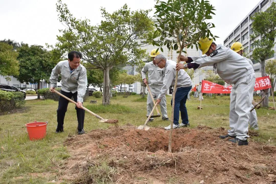 1617611005455944.jpg 1617611005455944.jpg